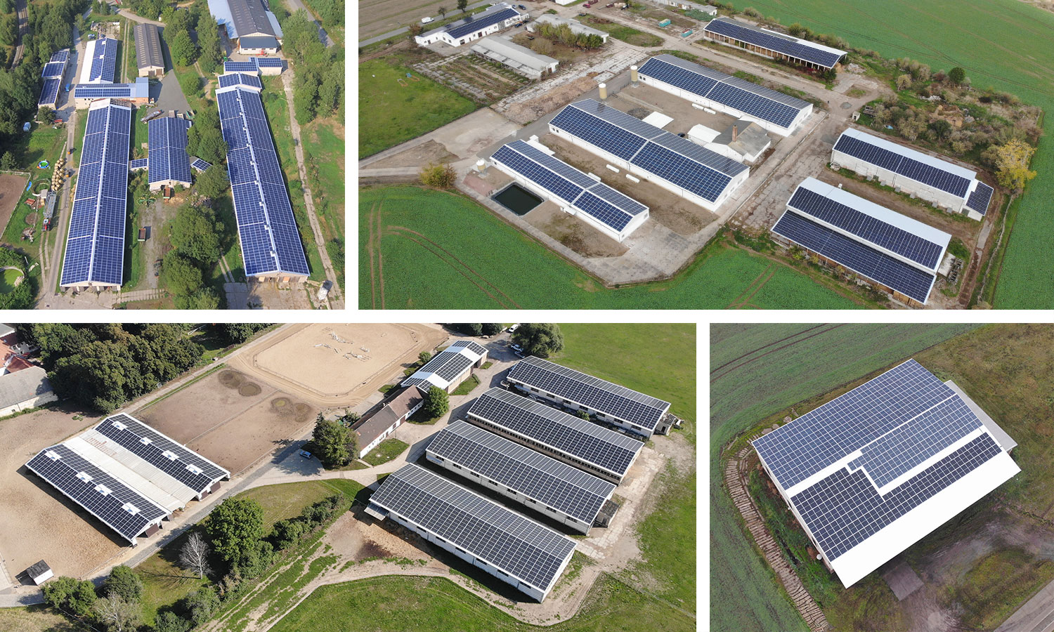 Das Team der Törmer Energy GmbH bei der Projektplanung für erneuerbare Energien